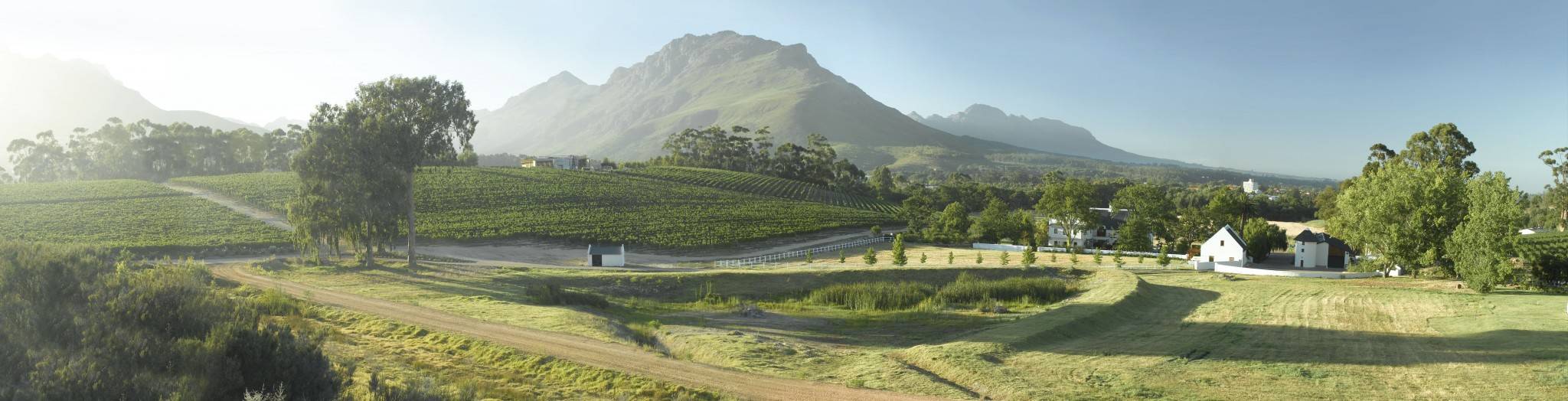 Kaaps Wijnhuis - bijzondere boutique wijnen uit Zuid-Afrika